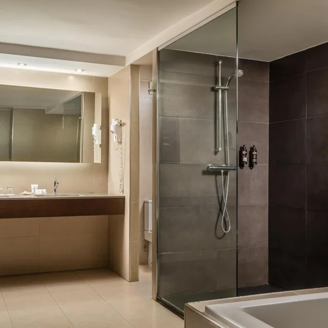 جناح جونيور بسرير كينج، Hotel President by Alegria 3/6
