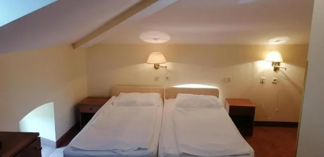 غرفة اقتصادية بسرير مزدوج أو سريرين منفصلين، Hotel Vila Ruzica 2/3