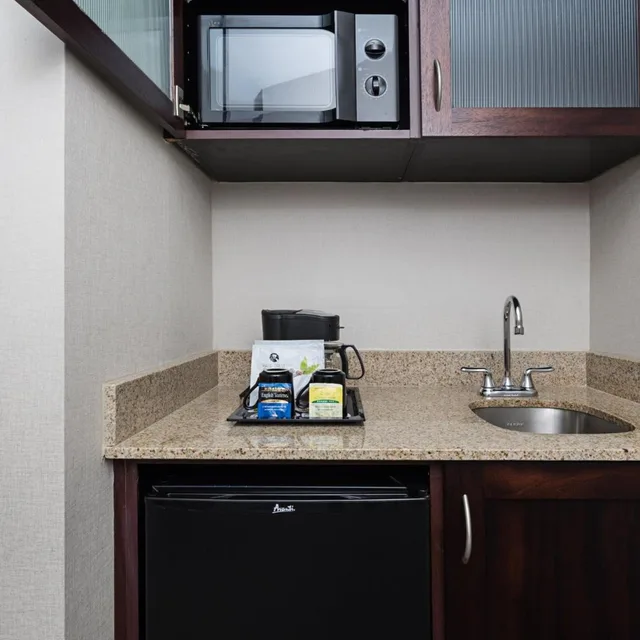 جناح بسرير كينج مع سرير سحّاب إضافي مع أريكة، Springhill Suites Denver Airport 5/5