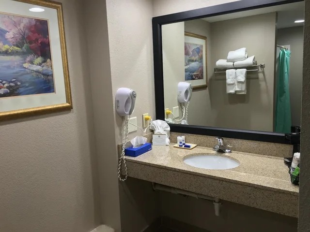غرفة قياسية بسرير كينج لذوي الإعاقة، Best Western Gateway Adirondack Inn 9/10