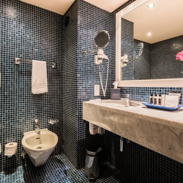 Park, Deluxe, Double Bed, Lake or Park View, Balcony, Royal Plaza Montreux Hotel 8/8