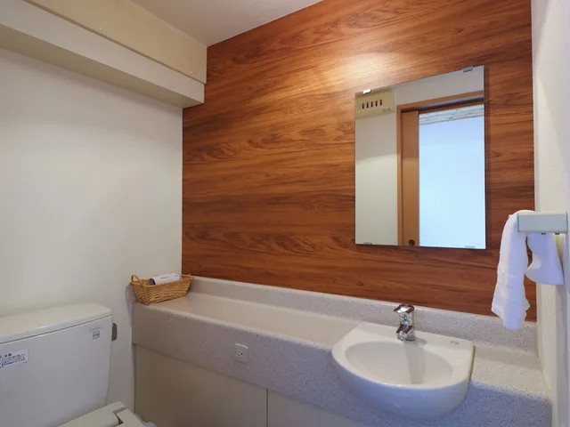 Moderate, Double Bed، Dormy Inn Niigata Natural Hot Spring 3/4