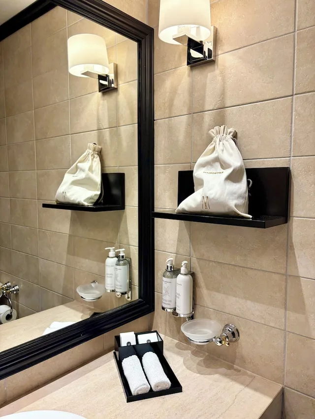 غرفة سيغنتشر بسرير مزدوج، Hotel Rotary Geneva - MGallery 9/9
