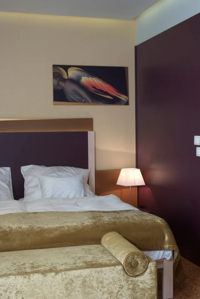 غرفة سوبيريور بسرير مزدوج أو سريرين منفصلين، Szent Gellert Hotel 3/9