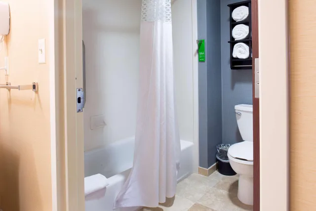 جناح استوديو بسرير كينج مع أريكة، Hampton Inn And Suites Vineland 3/4