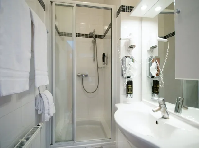 Room, Single, Gartenhotel Gabriel 12/12