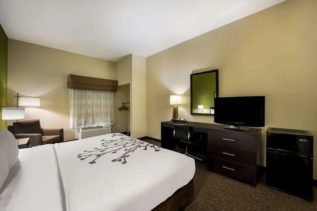 Room, King Bed, Accessible, Sleep Inn & Suites Valdosta Mall Area 3/4