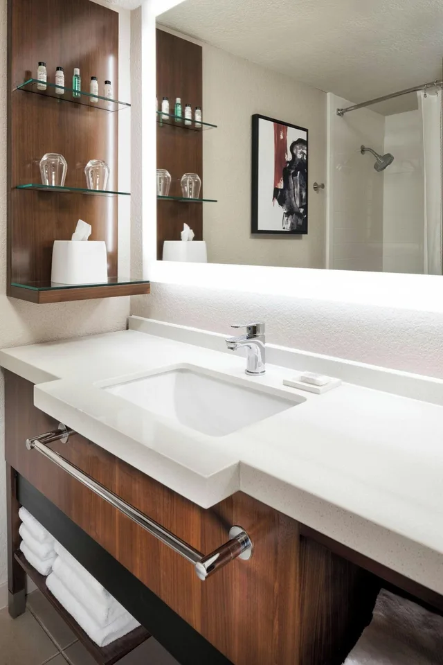 غرفة بسرير مزدوج لذوي الإعاقة، Delta Hotels Minneapolis Northeast 3/3