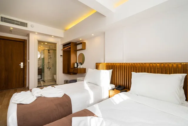 غرفة ديلوكس بسريرين منفصلين، Castillo Rojo Hotel Istanbul 1/10