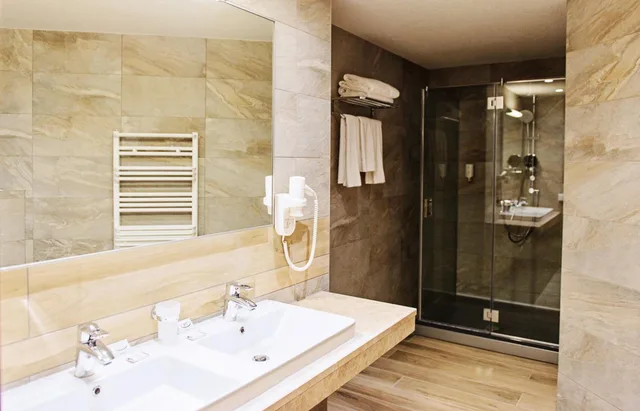 استوديو مع أريكة، Hot Springs Medical & Spa Hotel 5/6