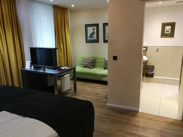 غرفة ديلوكس بسرير مزدوج، Hotel An der Philharmonie 8/10