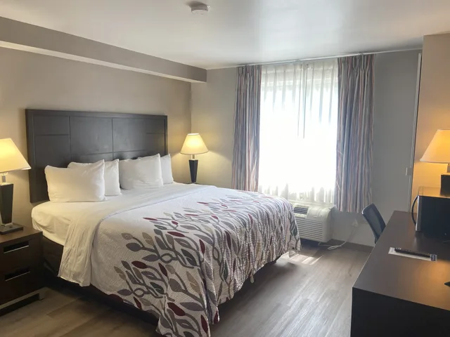 Standard, King Bed, Accessible, Red Roof Inn Pittsburgh Mcknight Rd 2/4