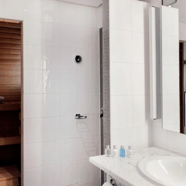 Business, Executive, Sauna, Lounge Access، Radisson Blu Plaza Helsinki 4/4