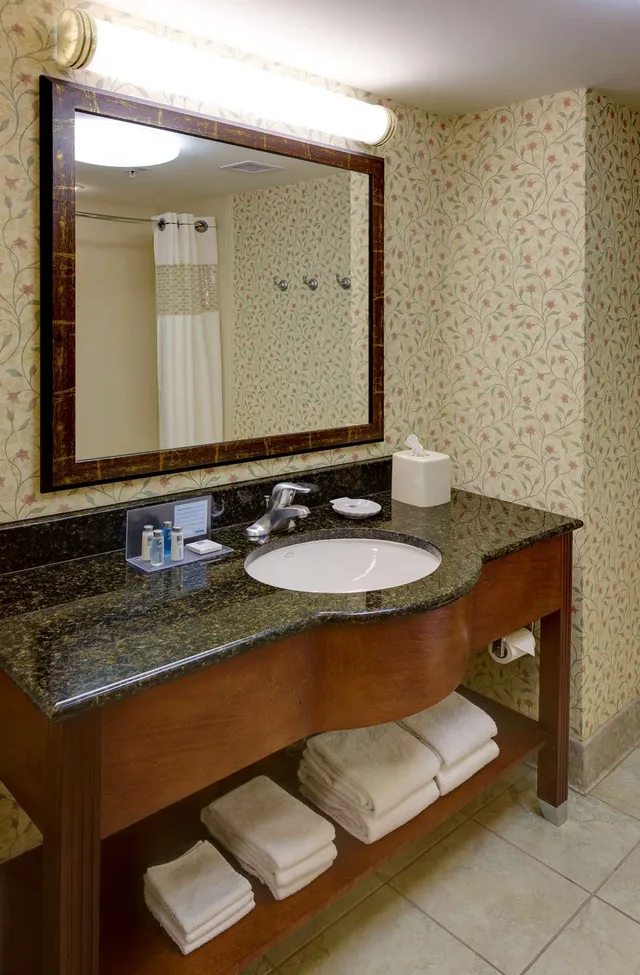 جناح استوديو بسرير كينج مع أريكة لذوي الإعاقة، Hampton Inn Suites Columbus Polaris 4/5