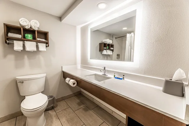 Xtra Space, Standard, King Bed، Holiday Inn Express Indianapolis South 8/10