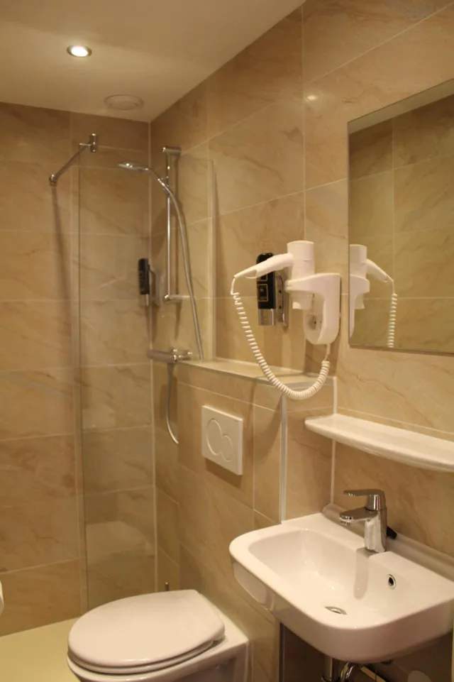 غرفة مفردة، Hotel Blossoms 4/6