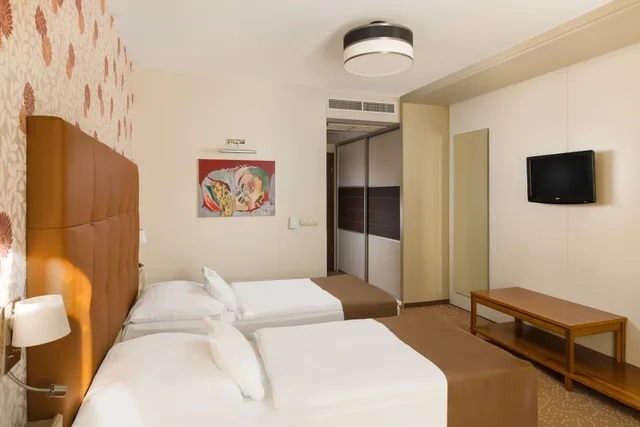 غرفة سوبيريور بسريرين منفصلين، Corso Hotel Pecs 2/5