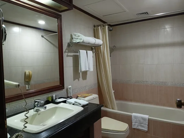 Deluxe King, Hotel Sarina 17/21