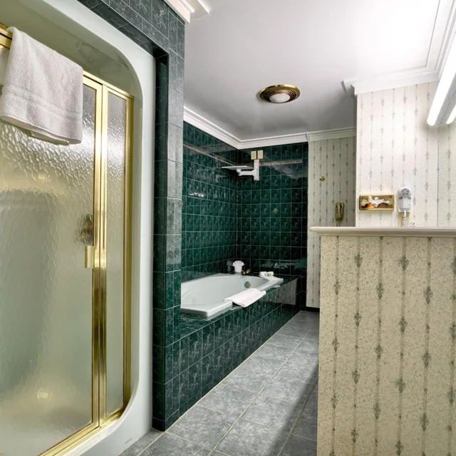 جناح تنفيذي بشرفة، Roosevelt Inn And Suites 5/6