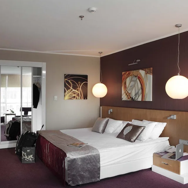غرفة سوبيريور بسرير مزدوج، City Hotel Ankara 9/10