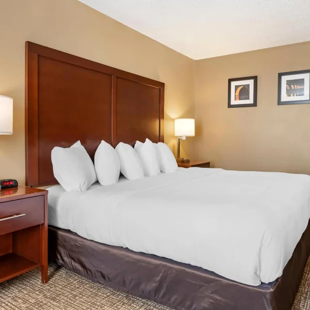 غرفة سوبيريور بسرير كينج، Comfort Inn MSP Airport - Mall Of America 2/4
