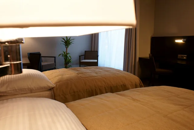 غرفة قياسية بسريرين منفصلين، Hotel Avance 1/2