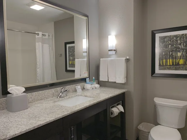 غرفة قياسية بسريرين كوين لذوي الإعاقة، Holiday Inn Express Suites Madison Central 2/2