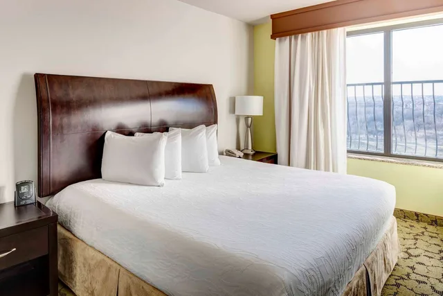 جناح جونيور بسرير كينج مع أريكة، Hilton Garden Inn Dallas-Lewisville 1/3