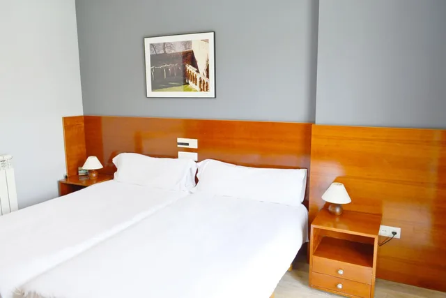 Standard, Double or Twin Bed, Hotel Alda Ciudad de Soria 1/9