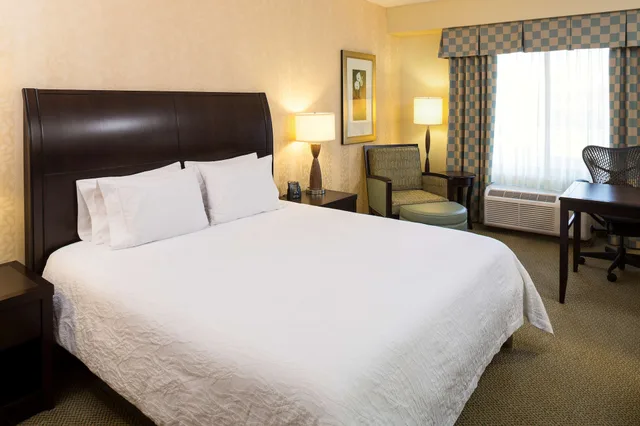 Evolution, King Bed، Hilton Garden Inn Sioux Falls South 1/5