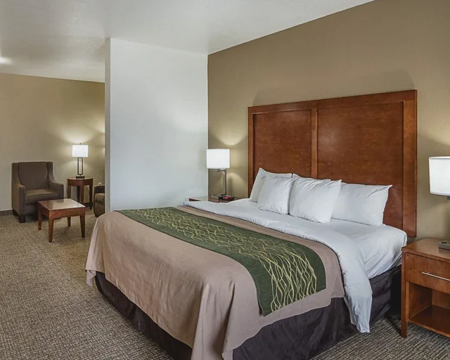 Efficiency, Suite, King Bed, Sofa، Comfort Inn Midland South I-20, TX 2/4