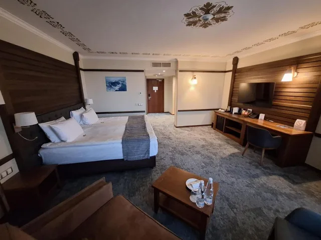 غرفة تنفيذية بسرير مزدوج أو سريرين منفصلين، Hot Springs Medical & Spa Hotel 1/8