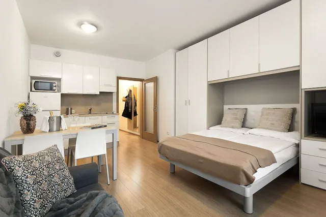 Basic, Studio, Queen Bed, Prague City Residence 1/7