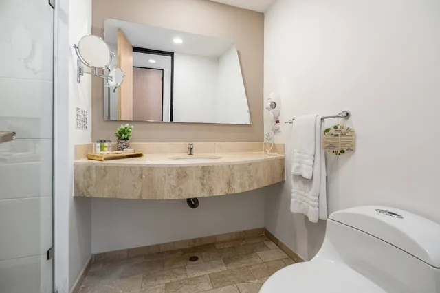 غرفة قياسية بسرير مزدوج، Novelty Suites Hotel 5/5