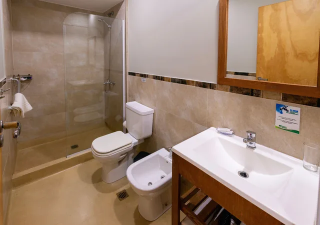 1 Bedroom, Superior, Apartment, Inga Apart & Suites 4/4