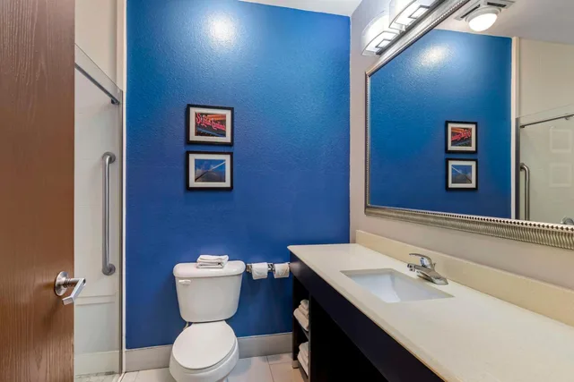 جناح بسرير كينج مع أريكة، Comfort Suites St Charles-St Louis 9/10