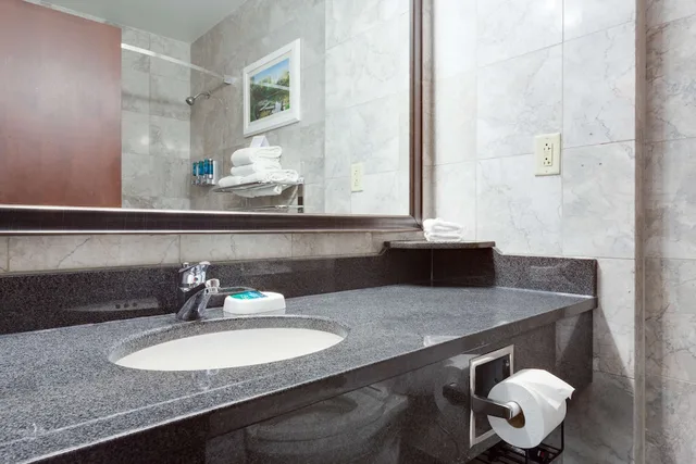 غرفة داخلية بسرير كينج لذوي الإعاقة، Drury Plaza Hotel St Louis At The Arch 3/3