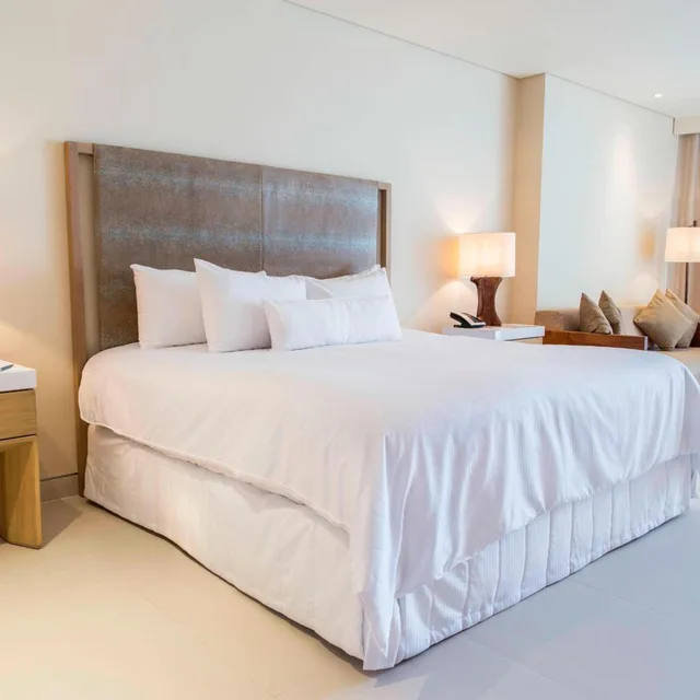 جناح ديلوكس صغير بسرير كينج بإطلالة على البحر بغرفة نوم واحدة، The Westin Cozumel 7/10