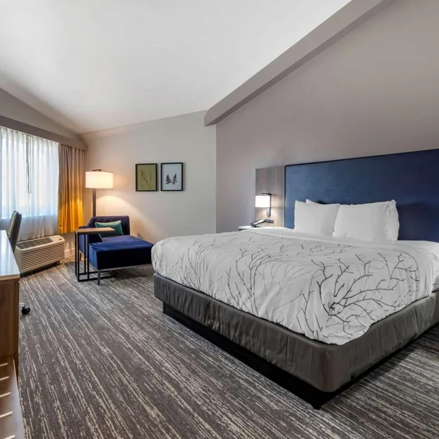 غرفة بسرير كينج مع أريكة لذوي الإعاقة، Best Western Denver East 1/4