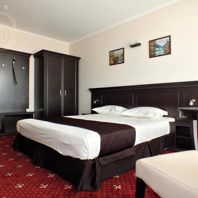 غرفة قياسية بسرير مزدوج، Spa Hotel Dragalevtsi 1/6