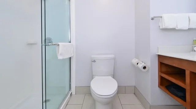غرفة قياسية بسرير كينج بحوض استحمام لذوي الإعاقة، Holiday Inn Express & Suites Lexington - Hamburg Area 3/3