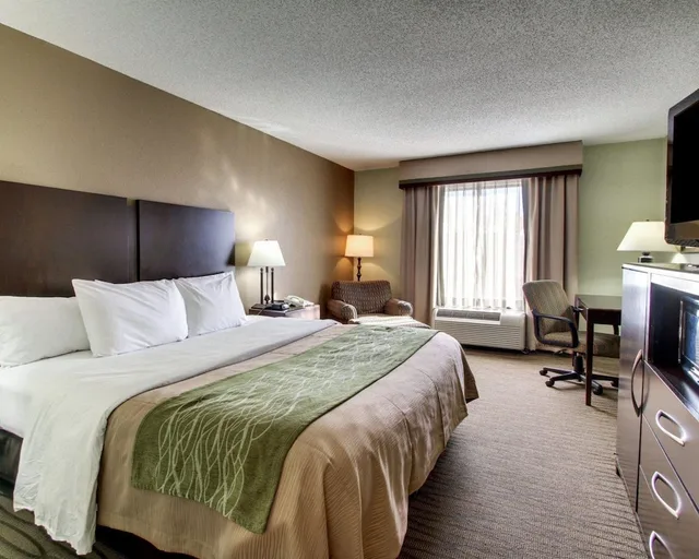 غرفة قياسية بسرير كينج، Comfort Inn Pearl-Jackson 2/5