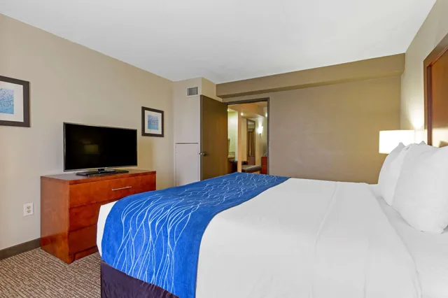جناح بسرير كينج مع أريكة، Comfort Suites Fredericksburg South 3/4