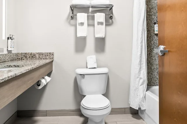 جناح بسريرين، Holiday Inn Express Suites Detroit North Roseville 4/5