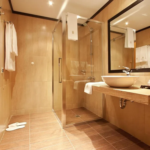 غرفة سوبيريور بسرير فردي، Best Western Plus Bristol Hotel 6/8