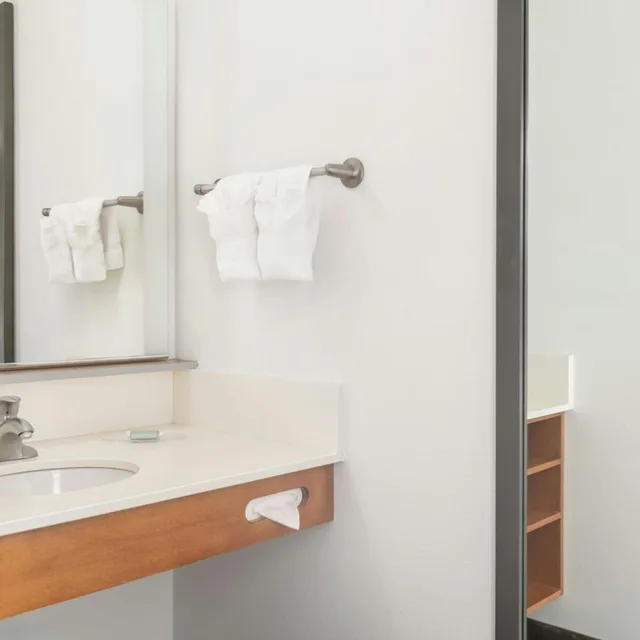غرفة بسرير كينج لذوي الإعاقة، SpringHill Suites Detroit Auburn Hills 10/10