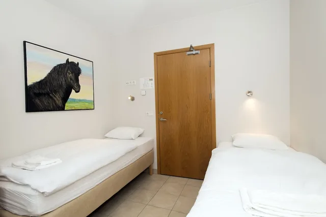 غرفة بسريرين منفصلين بحمام مشترك، Hotel Eldhestar 3/6