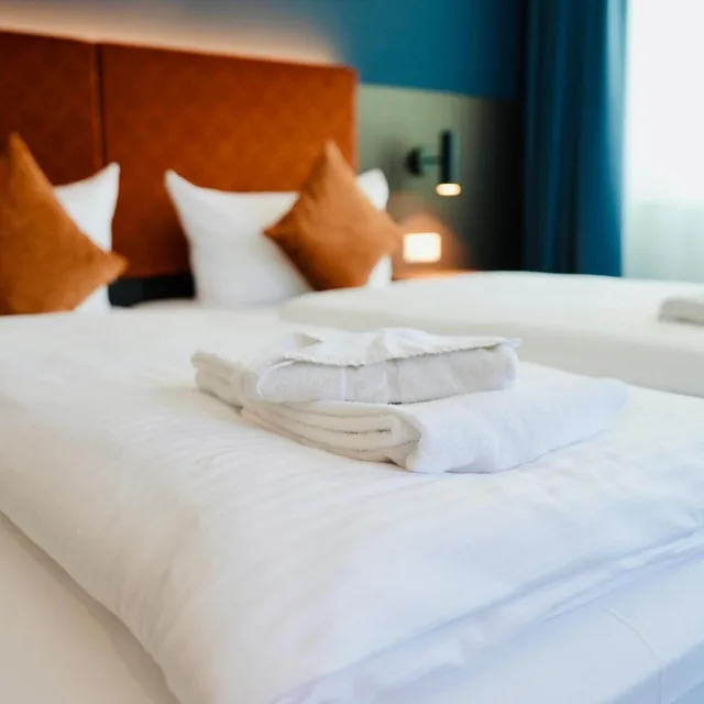 Room, Double or Twin Bed, Comfort Hotel Wiesbaden Ost 3/10
