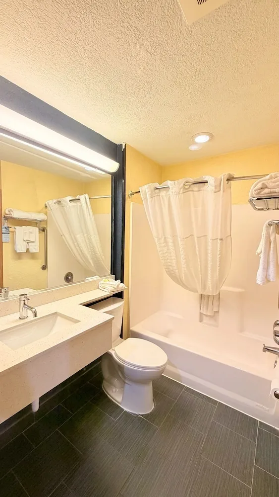 جناح بسرير كينج مع أريكة لذوي الإعاقة، Microtel Inn & Suites by Wyndham New Braunfels 5/8