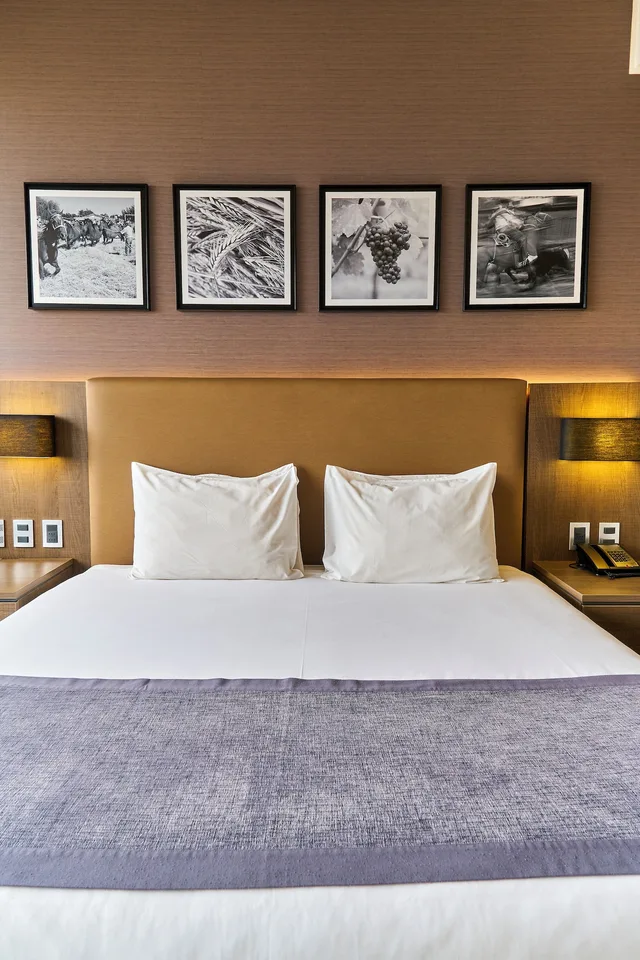 غرفة سوبيريور بسرير كينج، Hotel Terrado Rancagua 10/10